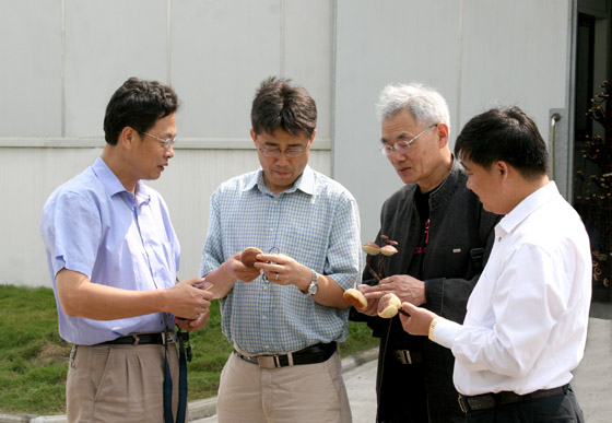 QY球友会