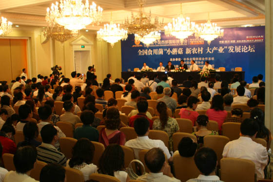 QY球友会